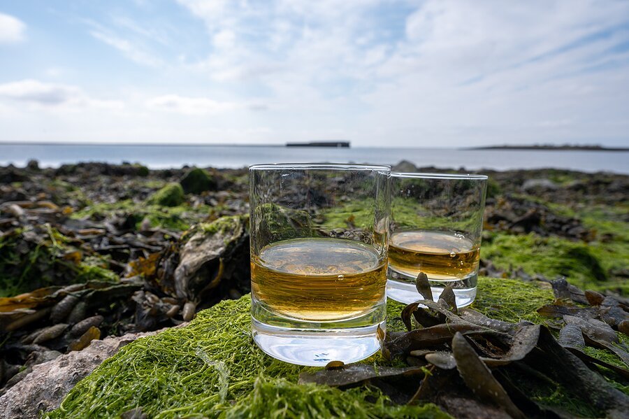 Scotch Whisky Tours